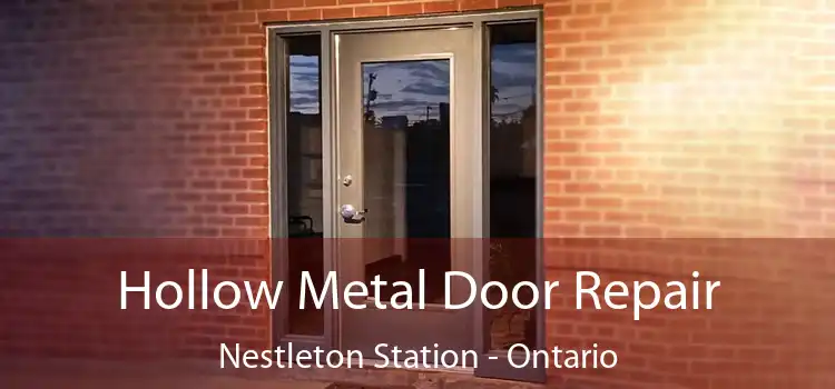 Hollow Metal Door Repair Nestleton Station - Ontario