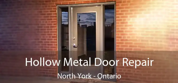 Hollow Metal Door Repair North York - Ontario
