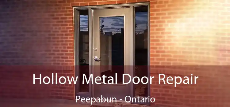 Hollow Metal Door Repair Peepabun - Ontario