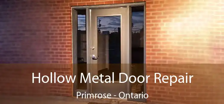 Hollow Metal Door Repair Primrose - Ontario