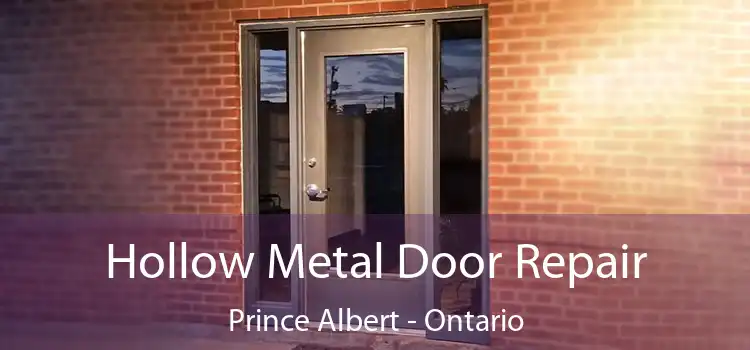 Hollow Metal Door Repair Prince Albert - Ontario