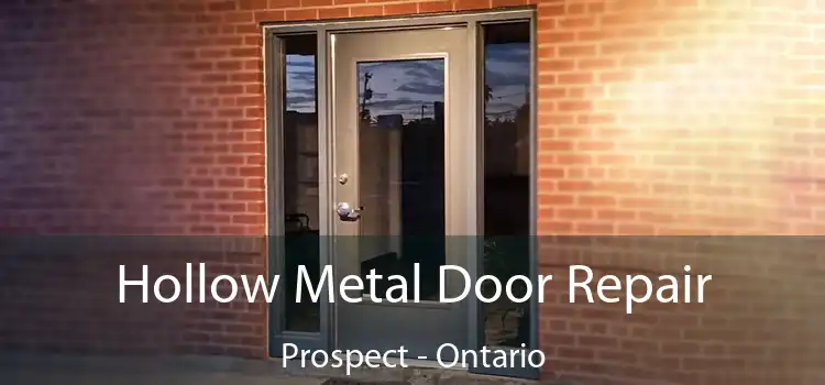 Hollow Metal Door Repair Prospect - Ontario