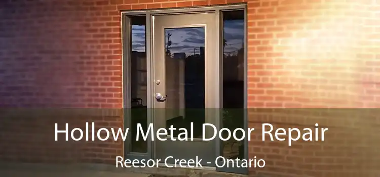 Hollow Metal Door Repair Reesor Creek - Ontario