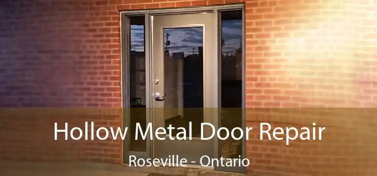 Hollow Metal Door Repair Roseville - Ontario