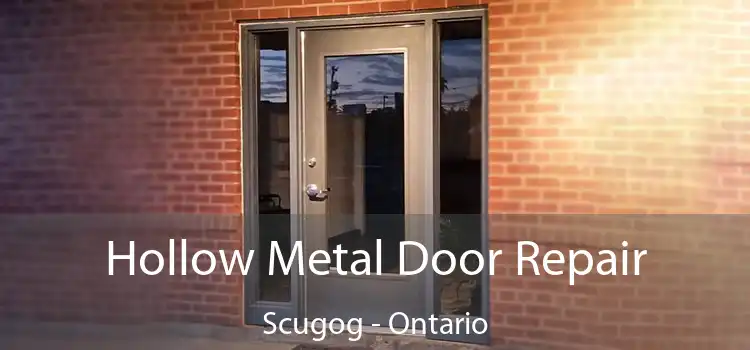 Hollow Metal Door Repair Scugog - Ontario