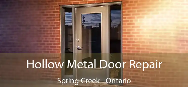 Hollow Metal Door Repair Spring Creek - Ontario