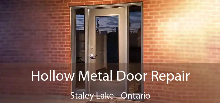 Hollow Metal Door Repair Staley Lake - Ontario