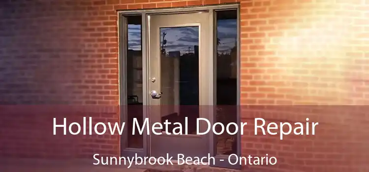 Hollow Metal Door Repair Sunnybrook Beach - Ontario