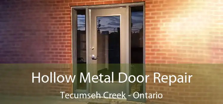 Hollow Metal Door Repair Tecumseh Creek - Ontario
