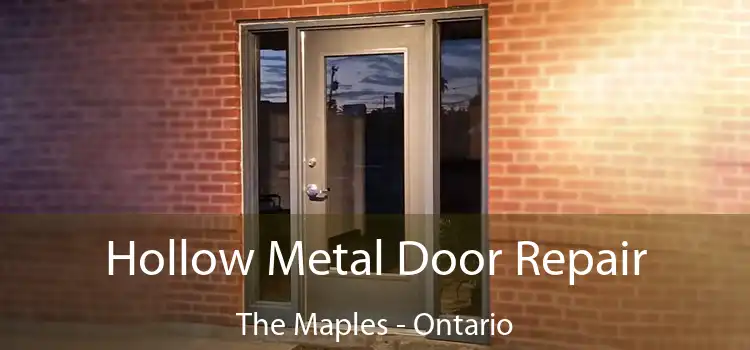 Hollow Metal Door Repair The Maples - Ontario