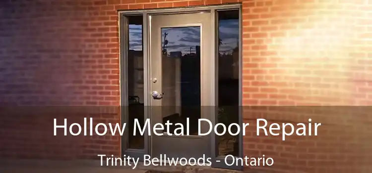Hollow Metal Door Repair Trinity Bellwoods - Ontario