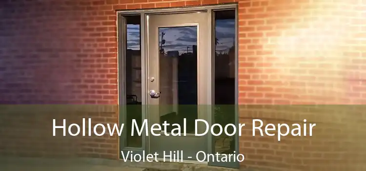 Hollow Metal Door Repair Violet Hill - Ontario