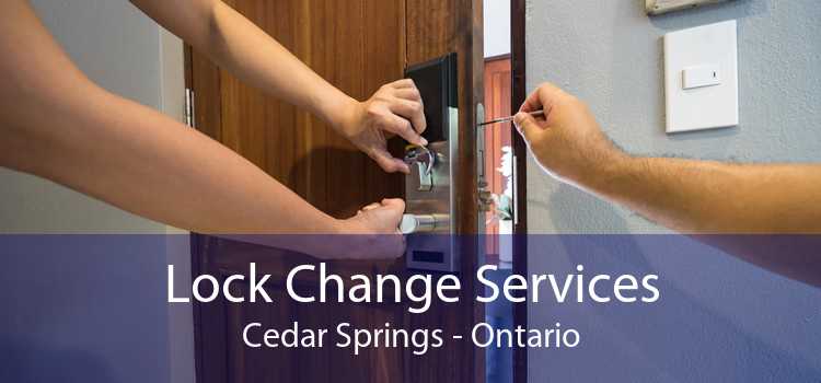 Lock Change Services Cedar Springs - Ontario