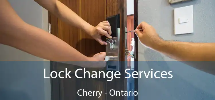 Lock Change Services Cherry - Ontario