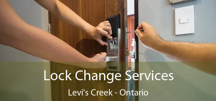 Lock Change Services Levi's Creek - Ontario