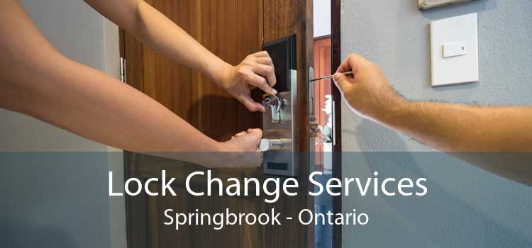 Lock Change Services Springbrook - Ontario