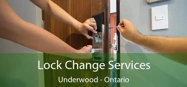 Lock Change Services Underwood - Ontario