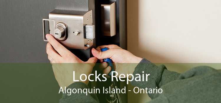 Locks Repair Algonquin Island - Ontario