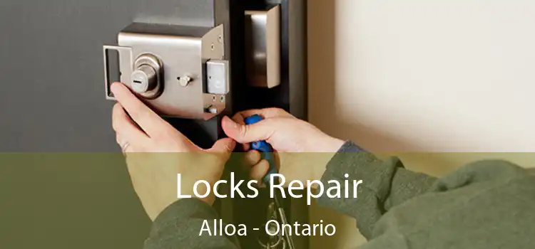 Locks Repair Alloa - Ontario