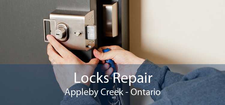 Locks Repair Appleby Creek - Ontario