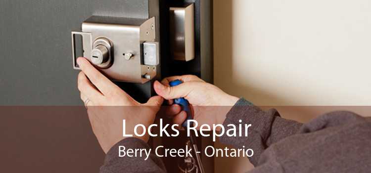 Locks Repair Berry Creek - Ontario