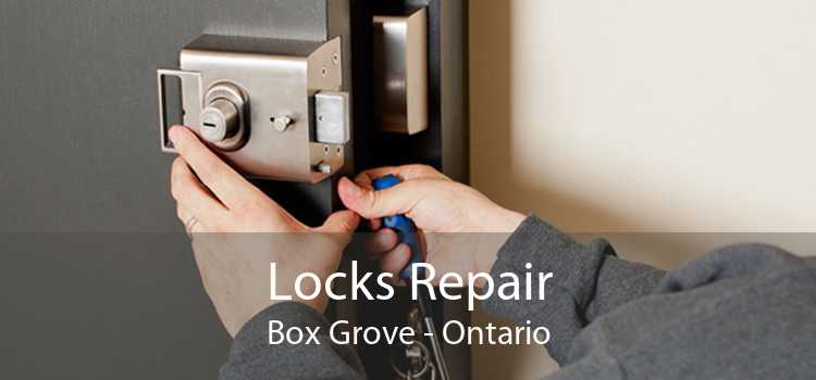 Locks Repair Box Grove - Ontario