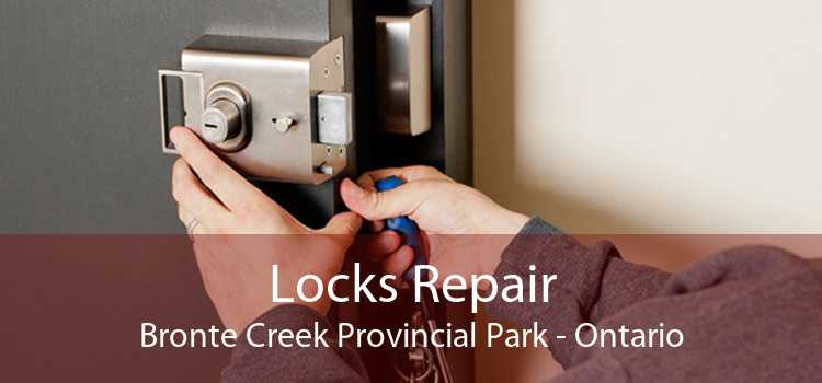 Locks Repair Bronte Creek Provincial Park - Ontario