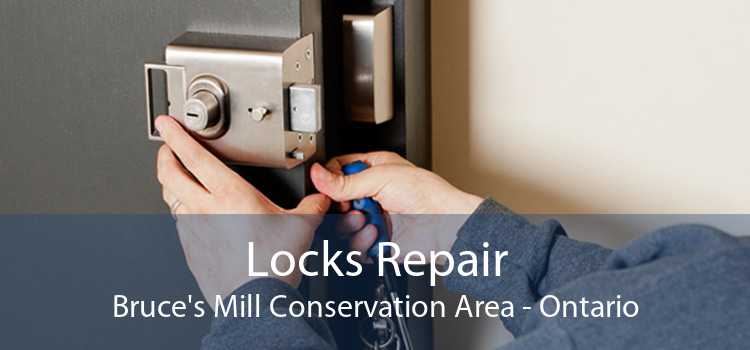 Locks Repair Bruce's Mill Conservation Area - Ontario