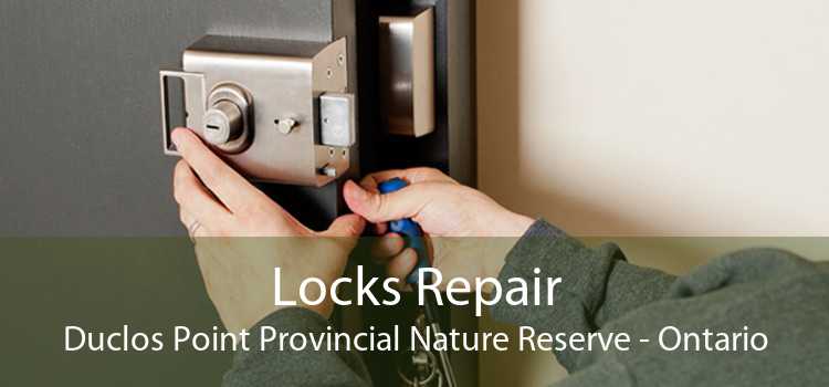 Locks Repair Duclos Point Provincial Nature Reserve - Ontario