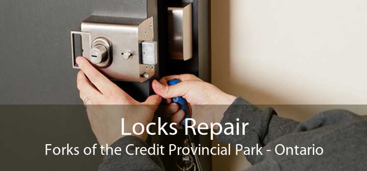 Locks Repair Forks of the Credit Provincial Park - Ontario