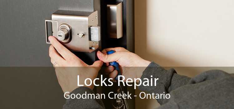 Locks Repair Goodman Creek - Ontario