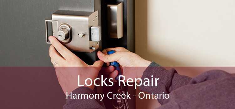 Locks Repair Harmony Creek - Ontario