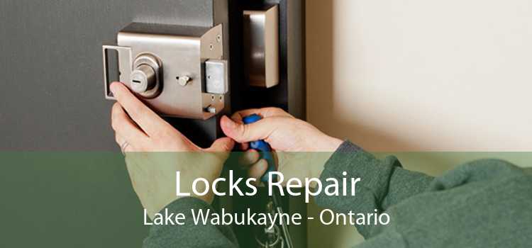Locks Repair Lake Wabukayne - Ontario
