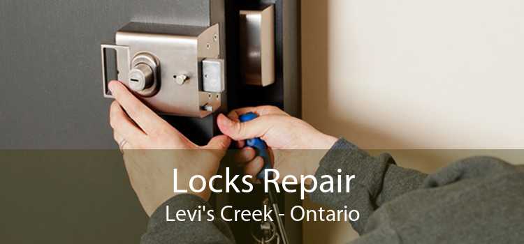 Locks Repair Levi's Creek - Ontario