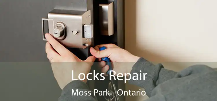 Locks Repair Moss Park - Ontario