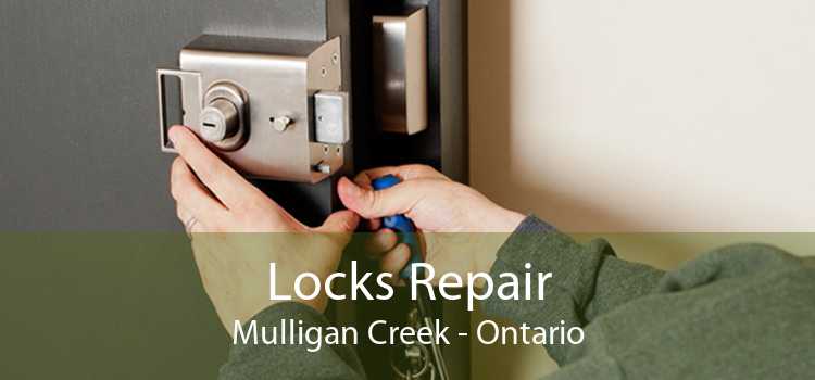 Locks Repair Mulligan Creek - Ontario