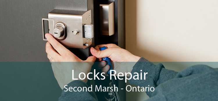 Locks Repair Second Marsh - Ontario