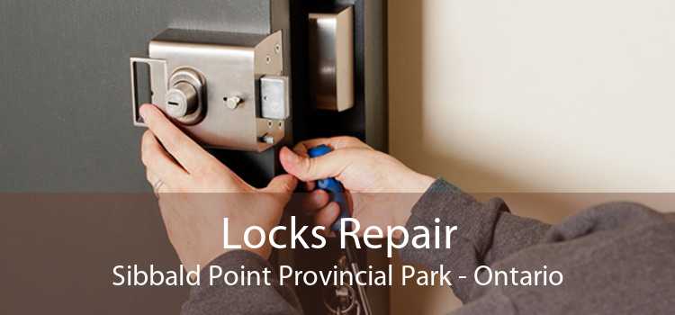 Locks Repair Sibbald Point Provincial Park - Ontario