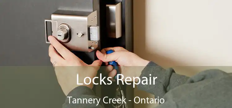 Locks Repair Tannery Creek - Ontario