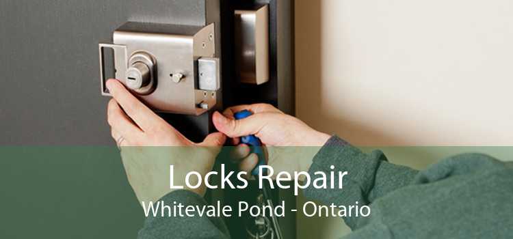 Locks Repair Whitevale Pond - Ontario