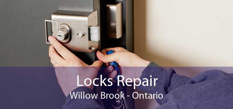 Locks Repair Willow Brook - Ontario