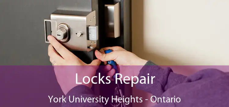 Locks Repair York University Heights - Ontario