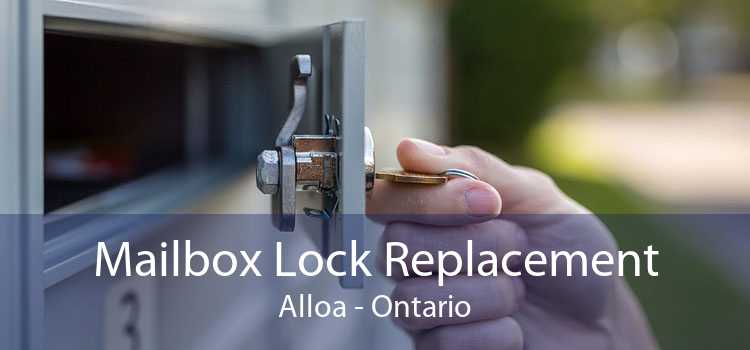 Mailbox Lock Replacement Alloa - Ontario