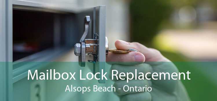 Mailbox Lock Replacement Alsops Beach - Ontario