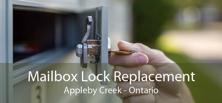 Mailbox Lock Replacement Appleby Creek - Ontario