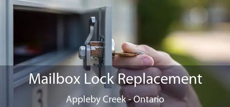 Mailbox Lock Replacement Appleby Creek - Ontario