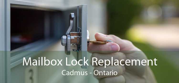 Mailbox Lock Replacement Cadmus - Ontario