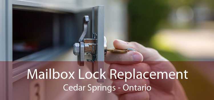 Mailbox Lock Replacement Cedar Springs - Ontario