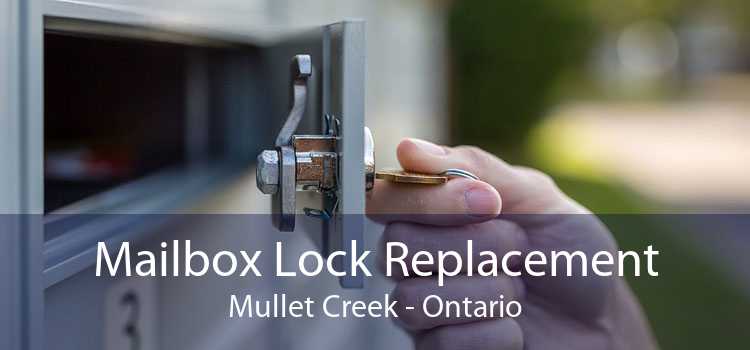 Mailbox Lock Replacement Mullet Creek - Ontario