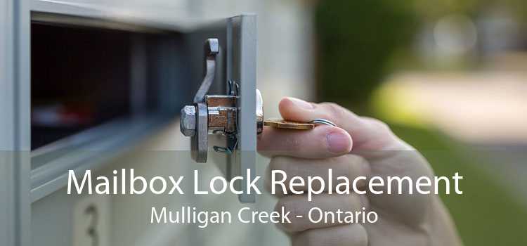 Mailbox Lock Replacement Mulligan Creek - Ontario